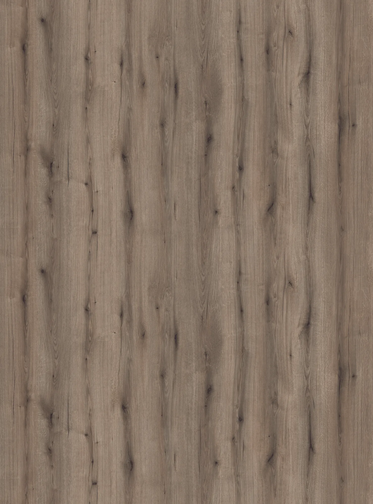 Tablero K5575 ROBLE EVOKE FOSSIL — Kaindl